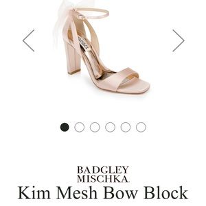 Badgley Mischka heels with mesh bow, blush size 6.5, worn once